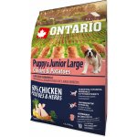 Ontario Puppy & Junior Large Chicken & Potatoes & Herbs 2,25 kg – Hledejceny.cz