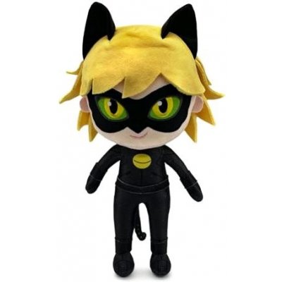 Miraculous Cat Noir