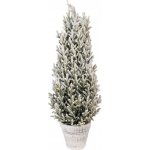 Vánoční dekorace zasněžený jehličnatý stromek v květináči - Ø 27*70 cm - Clayre & Eef – Hledejceny.cz