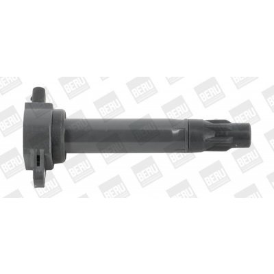 Zapalovací cívka BorgWarner (BERU) ZS562 – Hledejceny.cz
