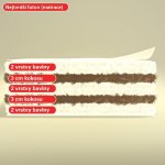 Nejfuton Daburu Kokonatsu – Sleviste.cz