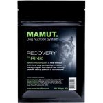Mamut Energetický doplněk stravy Recovery 40 g – Hledejceny.cz