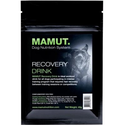 Mamut Energetický doplněk stravy Recovery 40 g – Hledejceny.cz