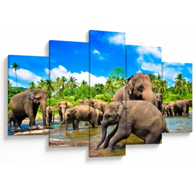 Obraz - Sloni, Sri Lanka, pětidílný 150x105 cm – Hledejceny.cz