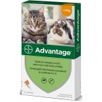 Advantage Spot-on pro malé kočky a králíky 40 mg 1 x 0,4 ml – HobbyKompas.cz