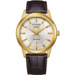 Citizen AW0102-13A – Sleviste.cz