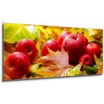 Obraz 1D panorama - 120 x 50 cm - Harvest. Autumn still life with red apples and leaves Sklizeň. Podzimní zátiší s červenými jablky a listy – Hledejceny.cz