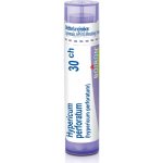 HYPERICUM PERFORATUM POR 30CH GRA 1X4G – Hledejceny.cz