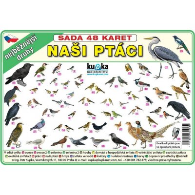 Nakladatelství Kupka Sada 48 karet - naši ptáci A5 21x15 cm