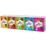 Linteo Kids mini bílé Papírové kapesníky 3-vrstvé 10 x 10 ks – Zboží Dáma Linteo Kids mini bílé Papírové kapesníky 3-vrstvé 10 x 10 ks – Zboží Dáma