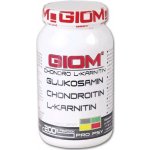 Giom Chondro L-karnitin 200 g – Hledejceny.cz