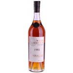 Marcel Trépout Armagnac Vintage 42% 1981 0,7 l (holá láhev) – Sleviste.cz