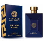Versace Pour Homme Dylan Blue sprchový gel 250 ml – Hledejceny.cz