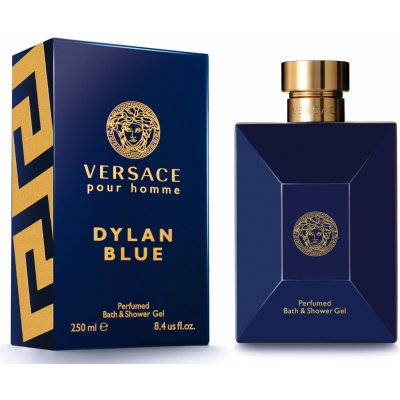 Versace Pour Homme Dylan Blue sprchový gel 250 ml – Zboží Mobilmania