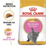 Royal Canin British Shorthair Kitten 2 kg – Sleviste.cz