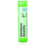 PHYTOLACCA DECANDRA POR 5CH GRA 4G – Hledejceny.cz