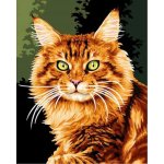 Norimpex Diamantové malování Zrzavá kočka 30 x 40 cm – Sleviste.cz