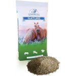 ENERGYS Sladový květ sypký 20 kg – Zboží Dáma