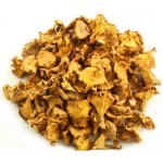 World Herbs Liška obecná sušená 100 g – Zboží Dáma