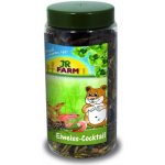 JR Farm Proteinový koktejl 75 g – Zbozi.Blesk.cz