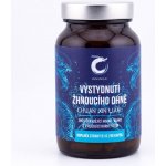 Rinenkai Ochlazení žhnoucího ohně 013 1 tablet – Hledejceny.cz