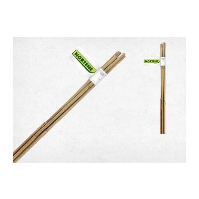 Bambusová tyč 120 cm, pr. 10-12 mm (3ks) – Sleviste.cz