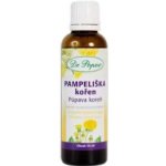 Dr. Popov Pampeliška kořen originální bylinné kapky 50 ml – Hledejceny.cz