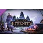 Pillars of Eternity - The White March: Part 1 – Hledejceny.cz