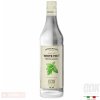 Šťáva ODK Sirup Máta bílá White mint 0,75 l