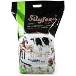 MIKROP ČEBÍN Silyfeed BASIC ostropestřec mariánský 2 kg – Zboží Mobilmania