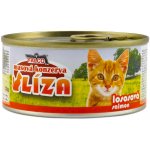 Sokol Falco LÍZA losos 120 g – Hledejceny.cz