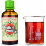 Bylinné kapky Posílení imunity Netopýr 2 tinktura 50 ml – Hledejceny.cz