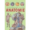 Kniha Anatomie Ilustrovaný atlas