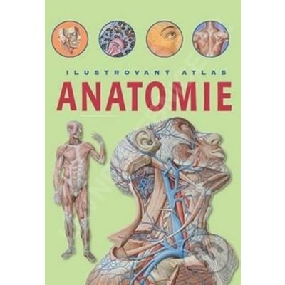Anatomie Ilustrovaný atlas – Zbozi.Blesk.cz