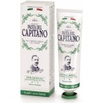 Pasta del Capitano 1905 Natural Herbs 75 ml – Hledejceny.cz