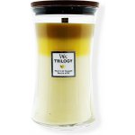 WoodWick Trilogy Fruits of Summer 609,5 g – Zboží Dáma