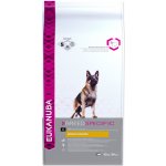 Eukanuba German Shepherd Německý ovčák 12 kg – Hledejceny.cz