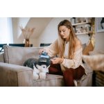 Lauben Handheld Steam Iron 1200GB – Zboží Mobilmania