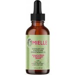 Mielle Rosemary Mint Scalp & Hair Strengthening Oil 59 ml – Hledejceny.cz