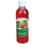Shishasyrup Melasa Berry Mint 100 ml – Zboží Mobilmania
