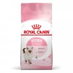 Royal Canin Kitten 2 kg – Zboží Mobilmania
