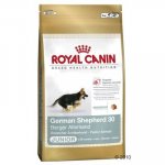 Royal Canin Německý ovčák Junior 2 x 12 kg – Sleviste.cz