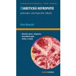 Diabetická nefropatie Průvodce ošetřujícího lékaře – Hledejceny.cz