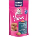 Vitakraft Cat Yums Losos Omega 3 40 g – Hledejceny.cz