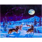 SMT Creatoys Diamantový obrázek 30 x 40 cm Vlci v zimě 1005266 – Hledejceny.cz