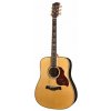 Richwood Master D-70-VA