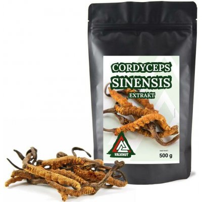 Valknut Cordyceps Sinensis extrakt 500 g – Hledejceny.cz