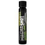 Biotech USA Magna Shot Ampulka Citrón + Limetka 25 ml – Hledejceny.cz