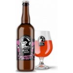 Nachmelená opice 16 IPA Ich liebe dich 6,8% 0,75 l (sklo) – Zboží Dáma