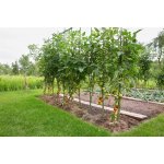 Bradas Ocelová zahradní tyč 1,6 x 120 cm BR-TYP16120 – Zbozi.Blesk.cz